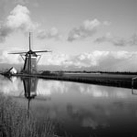 Ron Benner Holland reflection